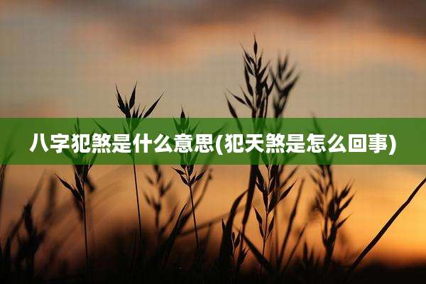 八字犯煞是什么意思(犯天煞是怎么回事)