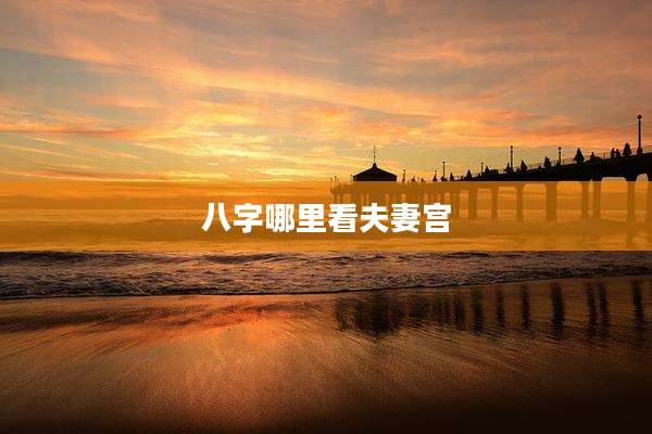 八字哪里看夫妻宫