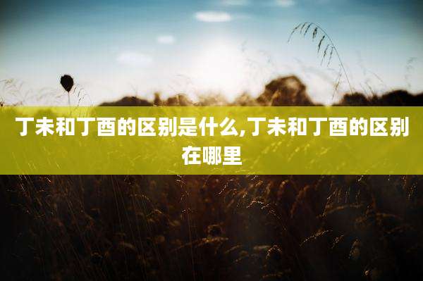 丁未和丁酉的区别是什么,丁未和丁酉的区别在哪里