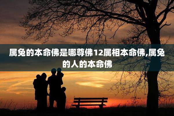 属兔的本命佛是哪尊佛12属相本命佛,属兔的人的本命佛