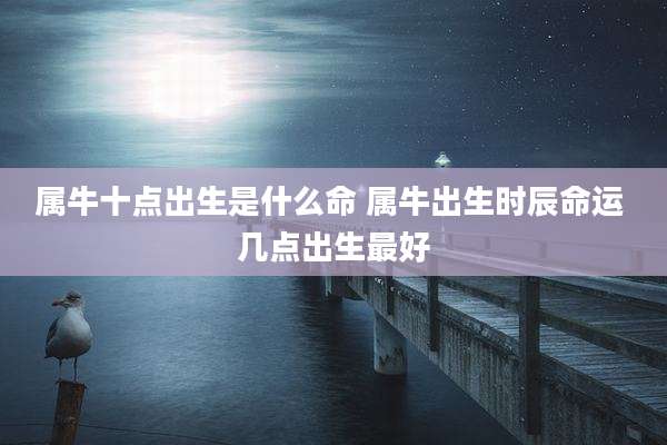 属牛十点出生是什么命 属牛出生时辰命运 几点出生最好