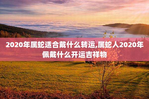 2020年属蛇适合戴什么转运,属蛇人2020年佩戴什么开运吉祥物