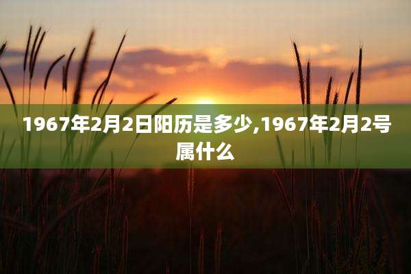 1967年2月2日阳历是多少,1967年2月2号属什么