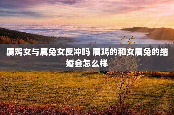 属鸡女与属兔女反冲吗 属鸡的和女属兔的结婚会怎么样