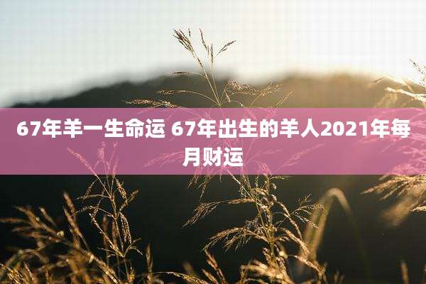 67年羊一生命运 67年出生的羊人2021年每月财运
