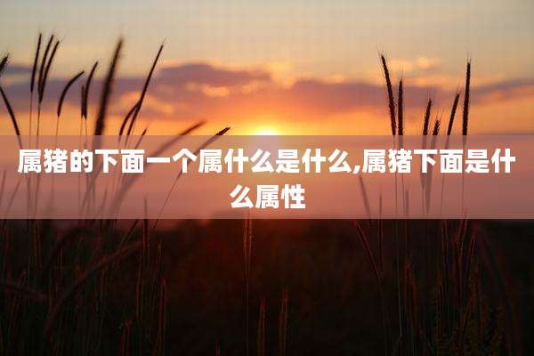 属猪的下面一个属什么是什么,属猪下面是什么属性