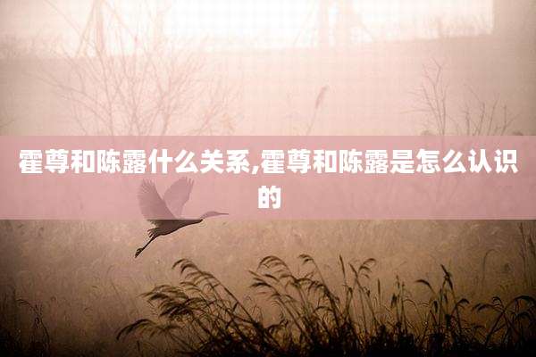 霍尊和陈露什么关系,霍尊和陈露是怎么认识的