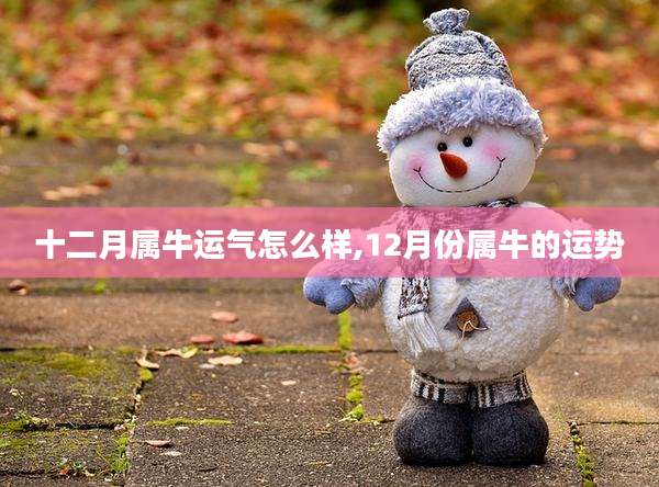 十二月属牛运气怎么样,12月份属牛的运势