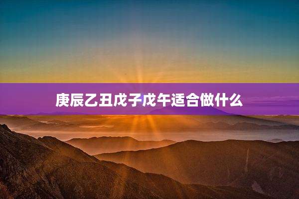 庚辰乙丑戊子戊午适合做什么