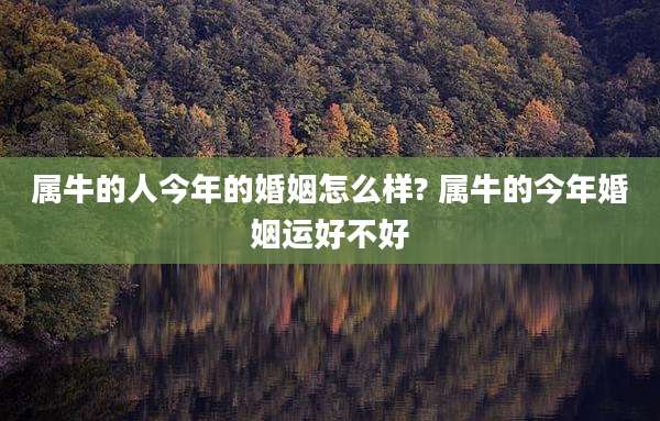 属牛的人今年的婚姻怎么样? 属牛的今年婚姻运好不好