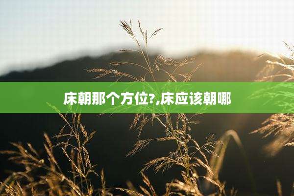 床朝那个方位?,床应该朝哪