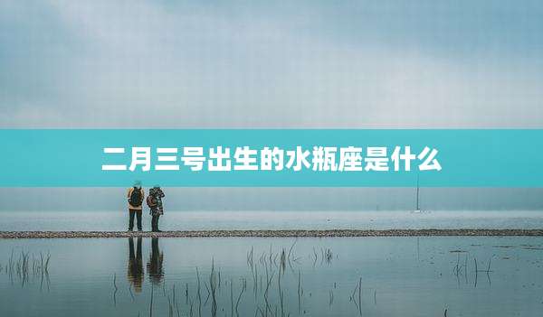 二月三号出生的水瓶座是什么