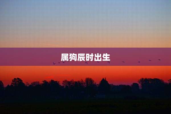 属狗辰时出生