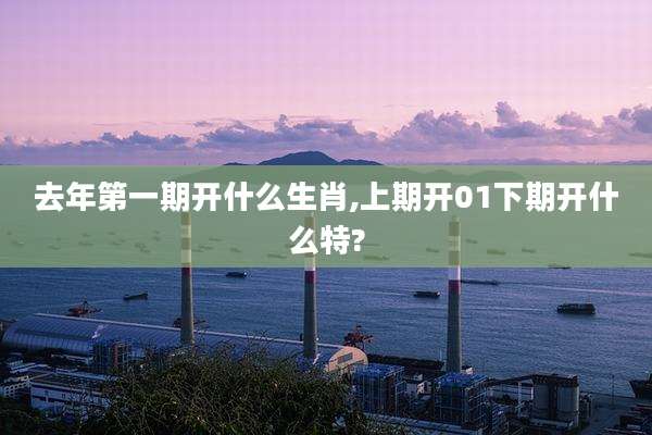 去年第一期开什么生肖,上期开01下期开什么特?