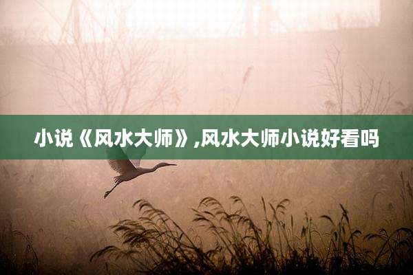 小说《风水大师》,风水大师小说好看吗