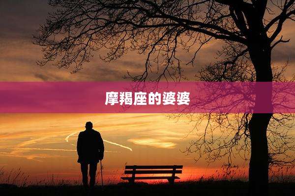 摩羯座的婆婆