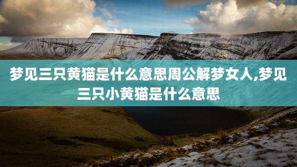 梦见三只黄猫是什么意思周公解梦女人,梦见三只小黄猫是什么意思