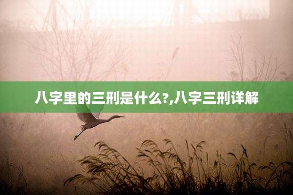 八字里的三刑是什么?,八字三刑详解