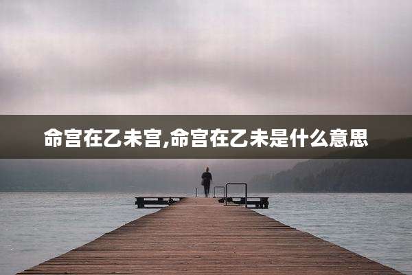 命宫在乙未宫,命宫在乙未是什么意思
