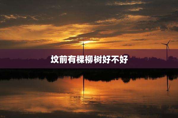 坟前有棵柳树好不好