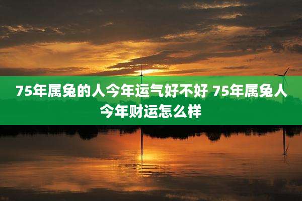 75年属兔的人今年运气好不好 75年属兔人今年财运怎么样