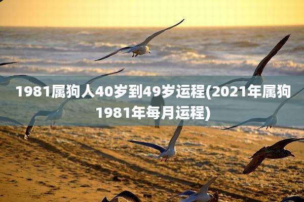 1981属狗人40岁到49岁运程(2021年属狗1981年每月运程)