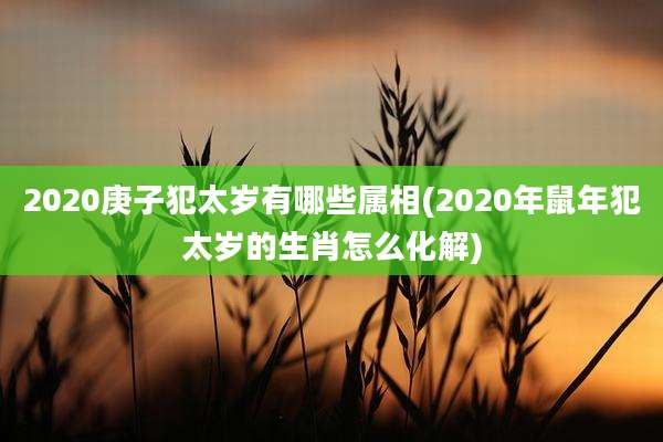 2020庚子犯太岁有哪些属相(2020年鼠年犯太岁的生肖怎么化解)
