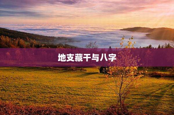 地支藏干与八字