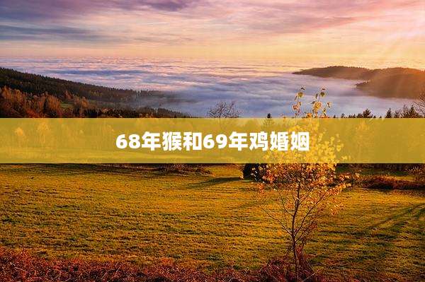 68年猴和69年鸡婚姻