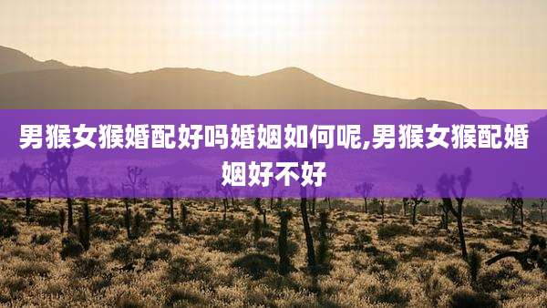 男猴女猴婚配好吗婚姻如何呢,男猴女猴配婚姻好不好