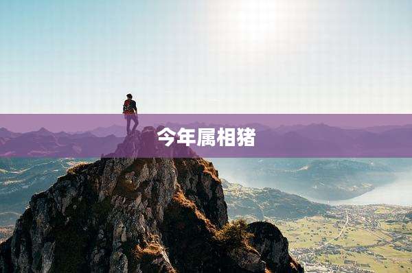 今年属相猪