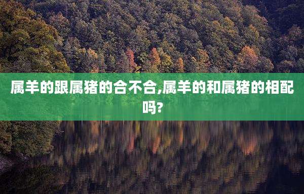 属羊的跟属猪的合不合,属羊的和属猪的相配吗?