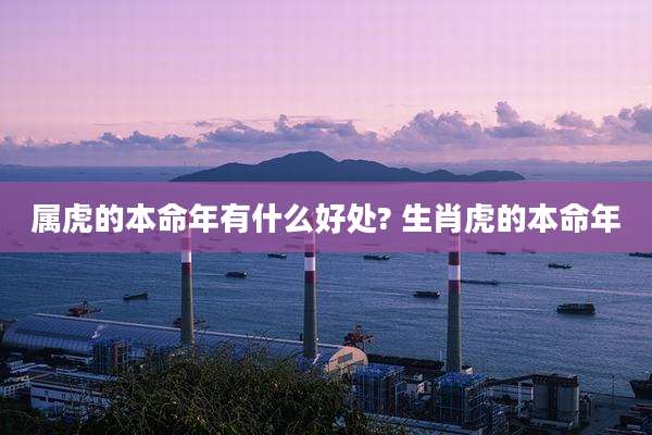 属虎的本命年有什么好处? 生肖虎的本命年