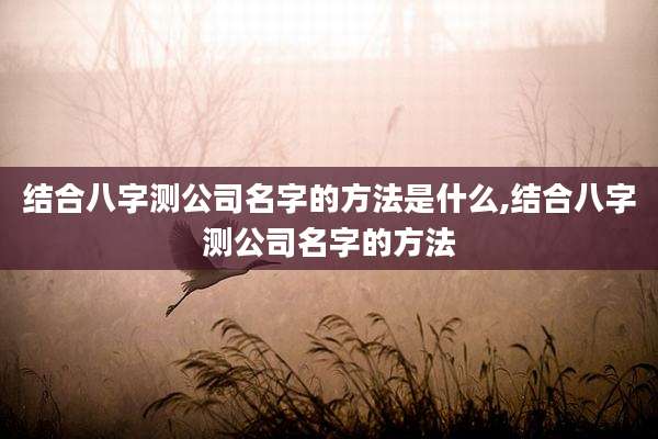 结合八字测公司名字的方法是什么,结合八字测公司名字的方法