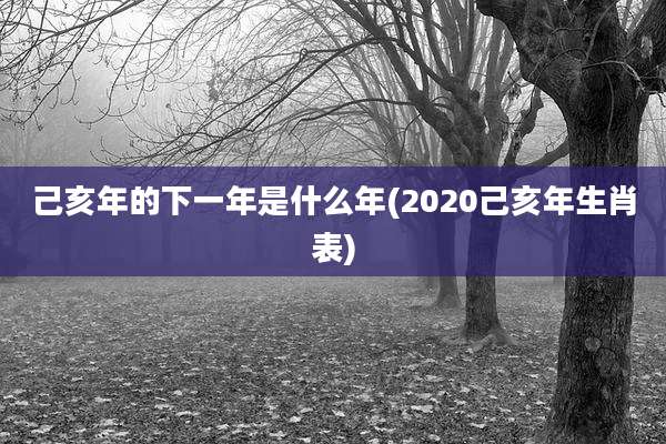 己亥年的下一年是什么年(2020己亥年生肖表)