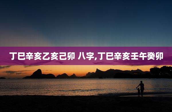 丁巳辛亥乙亥己卯 八字,丁巳辛亥壬午癸卯