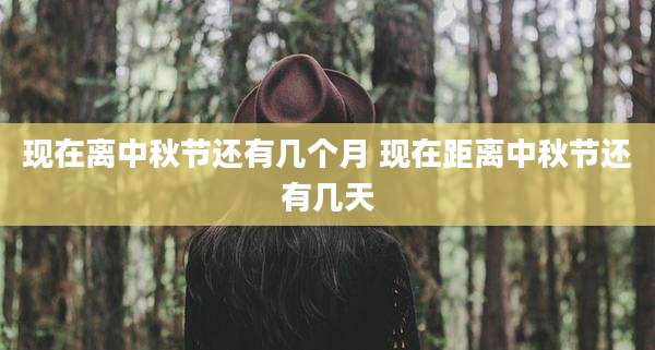 现在离中秋节还有几个月 现在距离中秋节还有几天