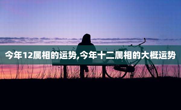 今年12属相的运势,今年十二属相的大概运势