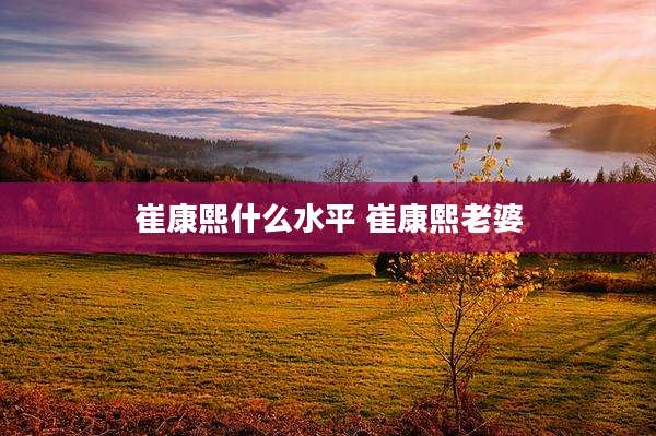 崔康熙什么水平 崔康熙老婆