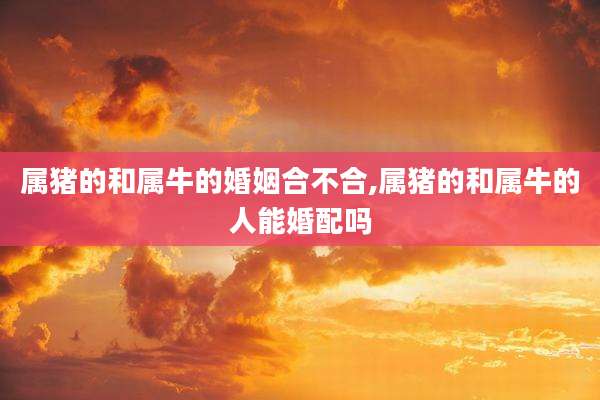 属猪的和属牛的婚姻合不合,属猪的和属牛的人能婚配吗