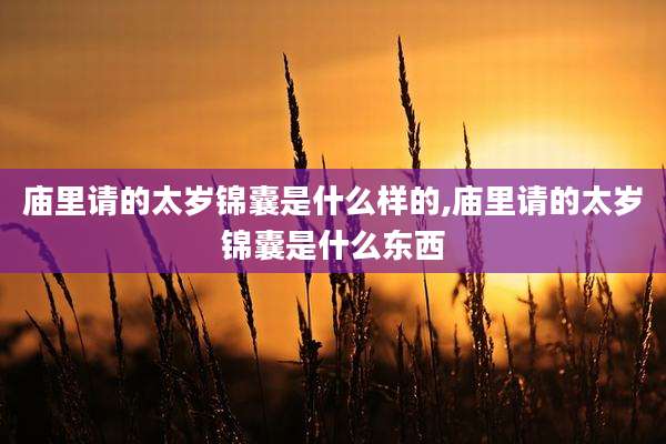 庙里请的太岁锦囊是什么样的,庙里请的太岁锦囊是什么东西