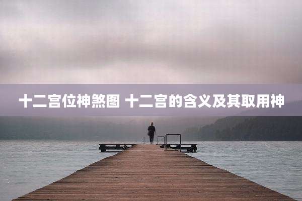 十二宫位神煞图 十二宫的含义及其取用神