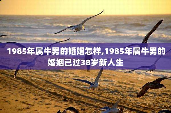 1985年属牛男的婚姻怎样,1985年属牛男的婚姻已过38岁新人生