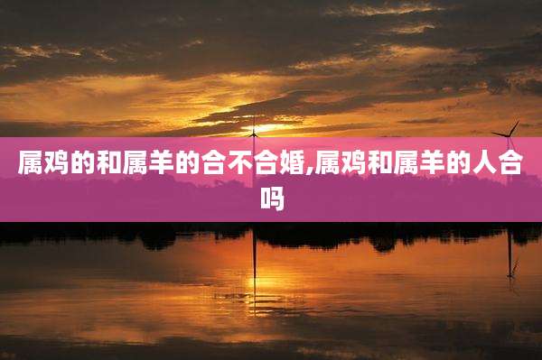 属鸡的和属羊的合不合婚,属鸡和属羊的人合吗