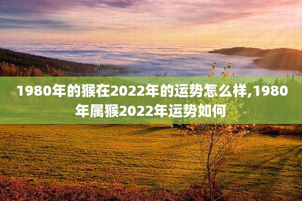 1980年的猴在2022年的运势怎么样,1980年属猴2022年运势如何