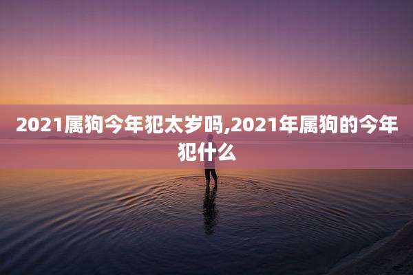 2021属狗今年犯太岁吗,2021年属狗的今年犯什么