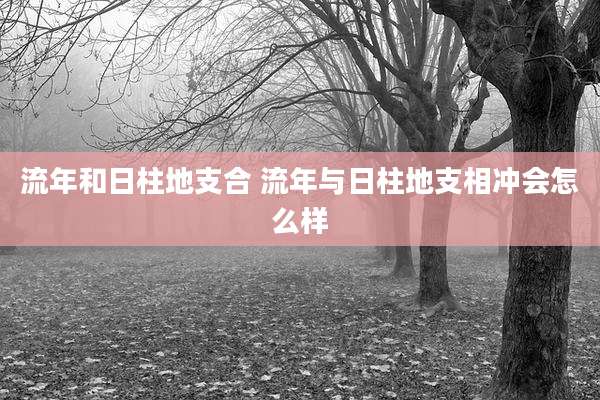 流年和日柱地支合 流年与日柱地支相冲会怎么样