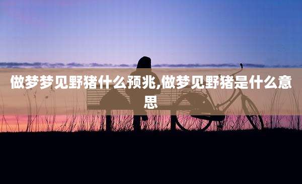 做梦梦见野猪什么预兆,做梦见野猪是什么意思