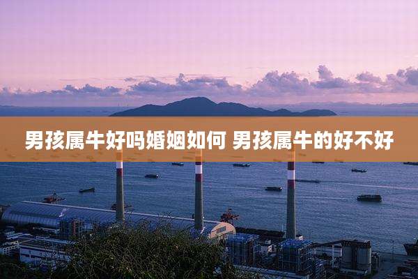 男孩属牛好吗婚姻如何 男孩属牛的好不好