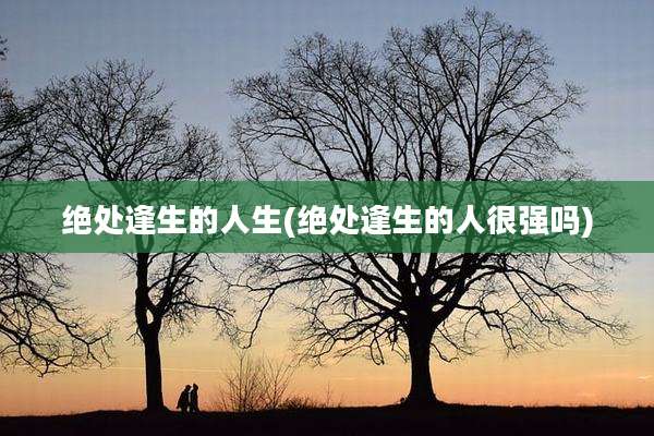 绝处逢生的人生(绝处逢生的人很强吗)